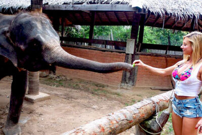 Paige Hathaway tomando uma apalpada do elefante