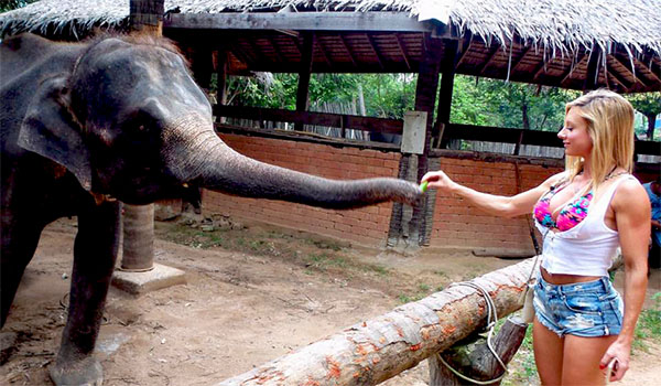 Paige Hathaway tomando uma apalpada do elefante